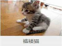 山西德音商贸有限公司