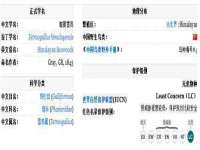山西德音商贸有限公司