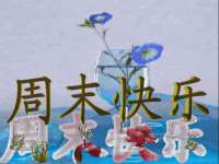 山西德音商贸有限公司