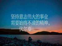 山西德音商贸有限公司