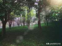 山西德音商贸有限公司