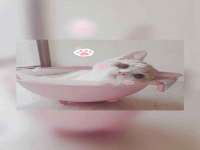 山西德音商贸有限公司